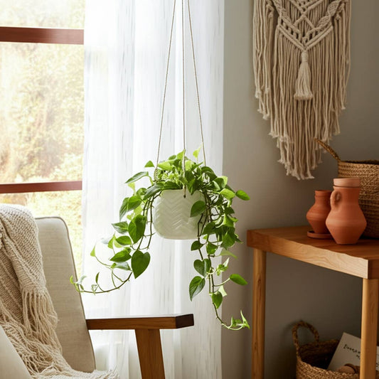 Chevron Hanging Planter