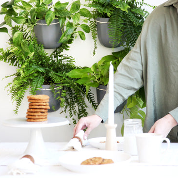 Loop Hanging Planter in Gravel