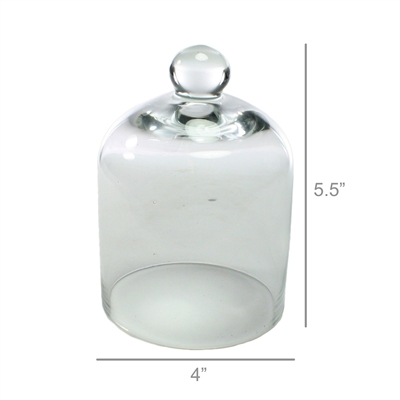 Glass Mini Clear Dome