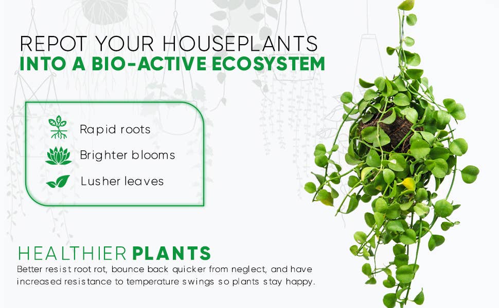 Noot Mix Coco-Based Houseplant Potting Mix