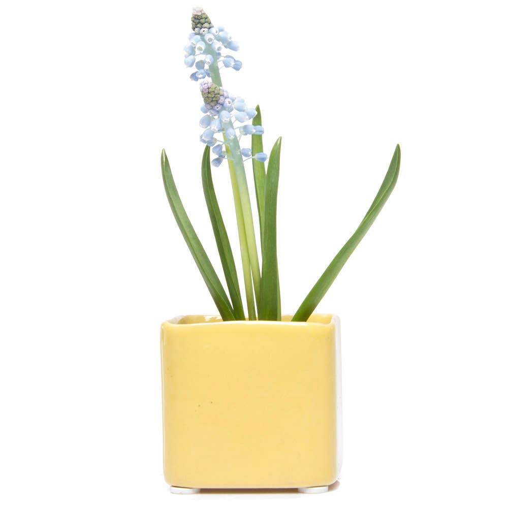 Mini Cube Ceramic Pots