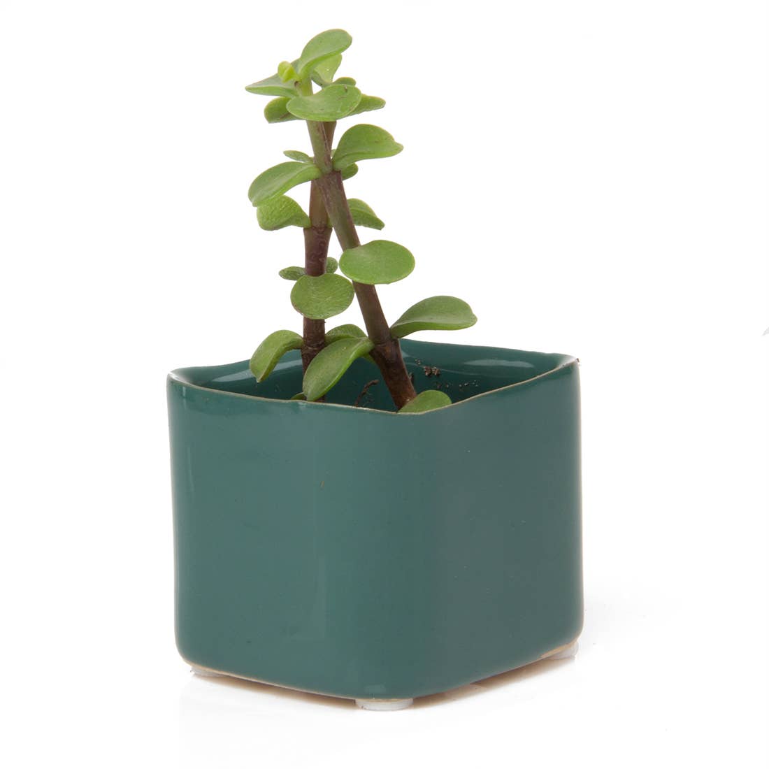 Mini Cube Ceramic Pots