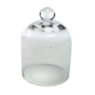 Glass Mini Clear Dome