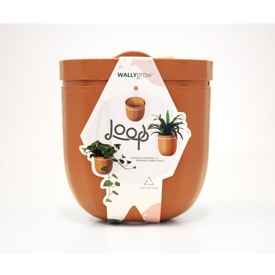 Loop Hanging Planter in Terracotta