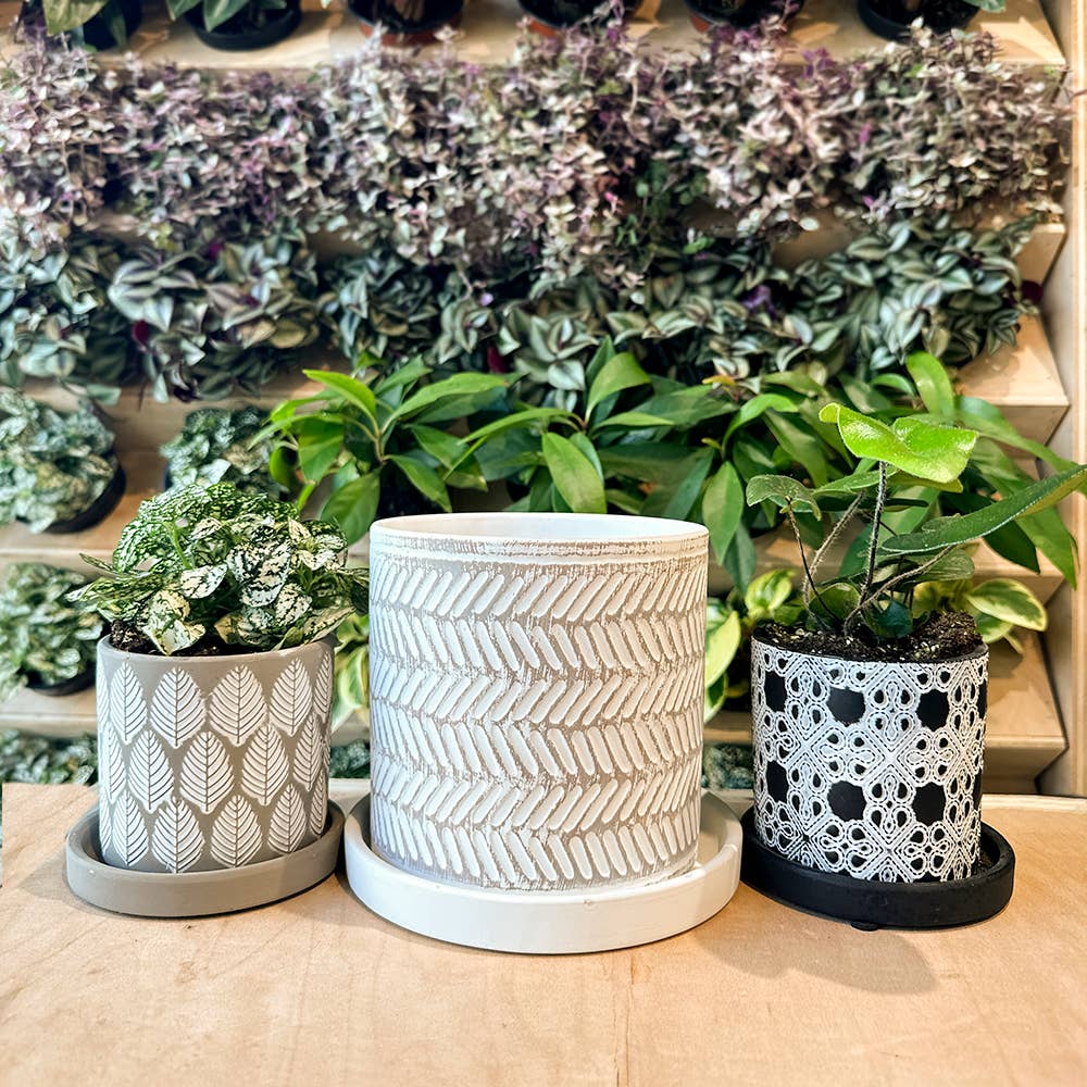 Grey Paisley Boho Planter