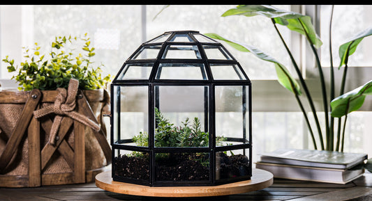 Terrarium Workshop