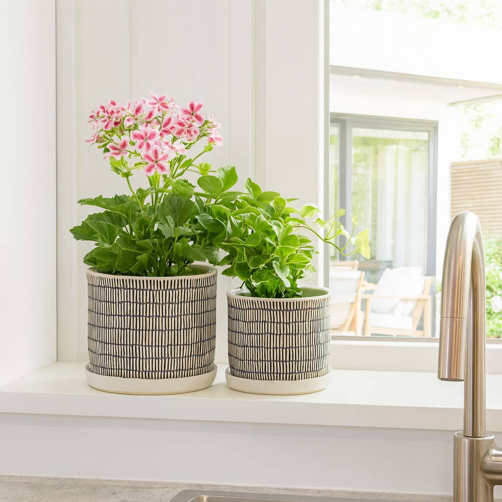 Ceramic Line Pot & Saucer