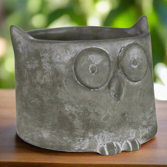 Wise Owl Cement Cachepot