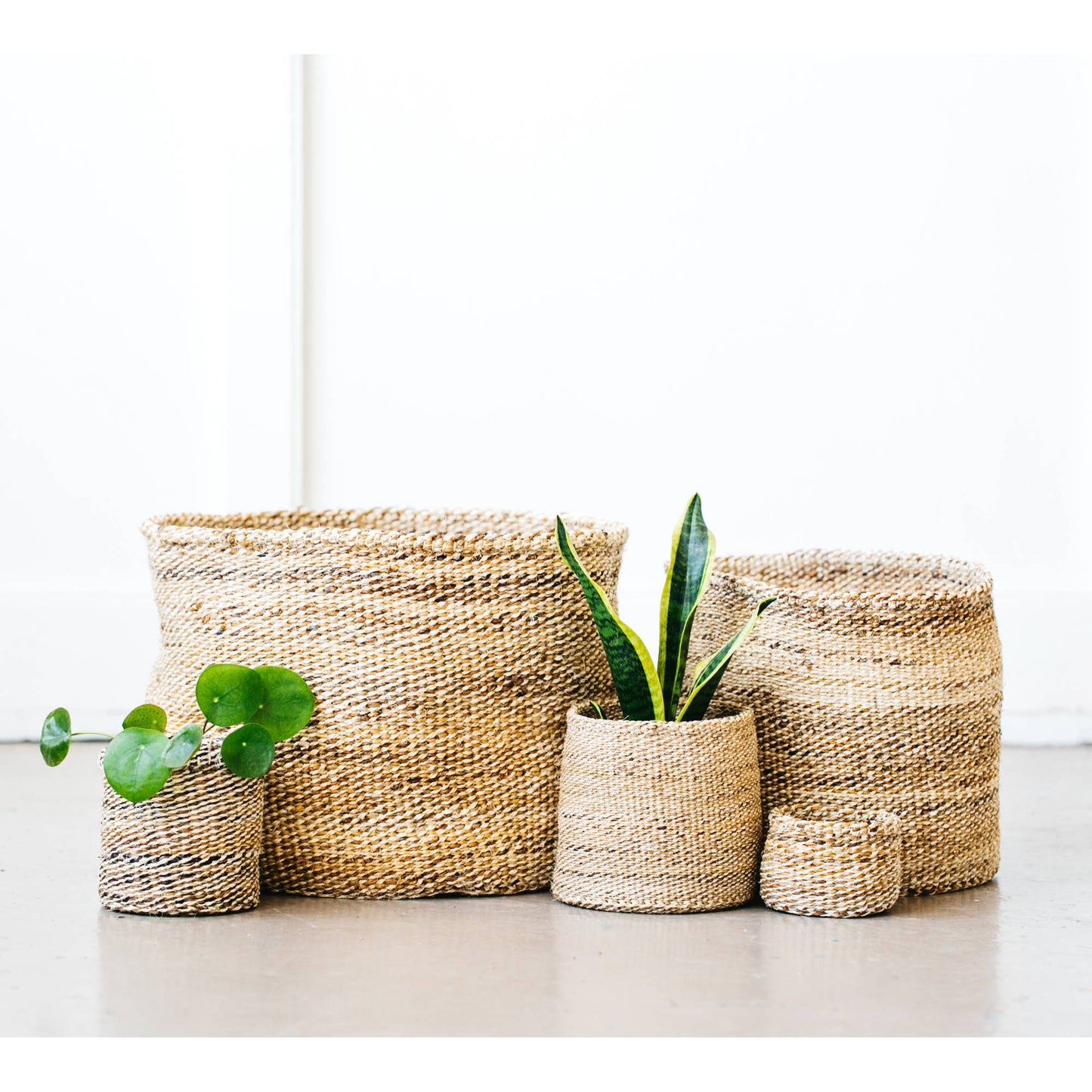 Banana Leaf Storage Plant Basket