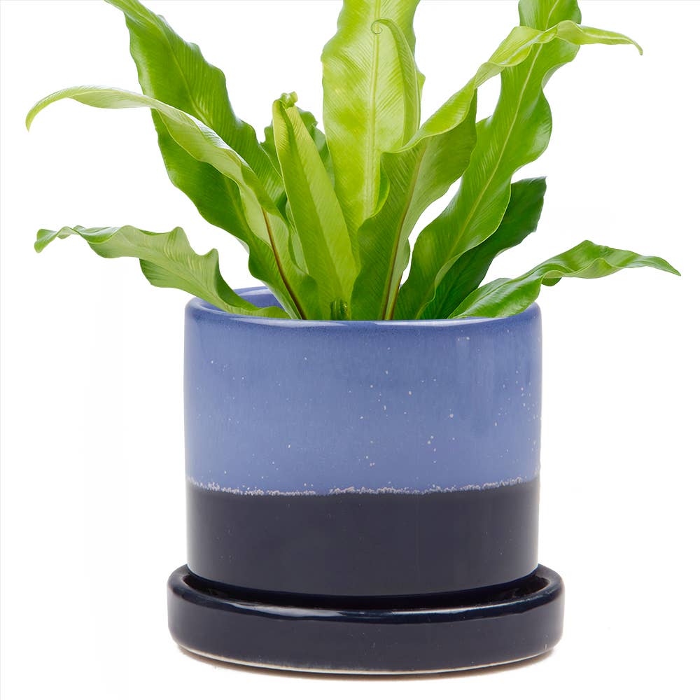Minute Pot & Saucer