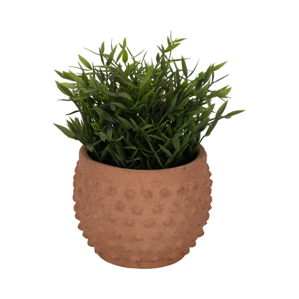 Terracotta Bubble Textured 6" Pot