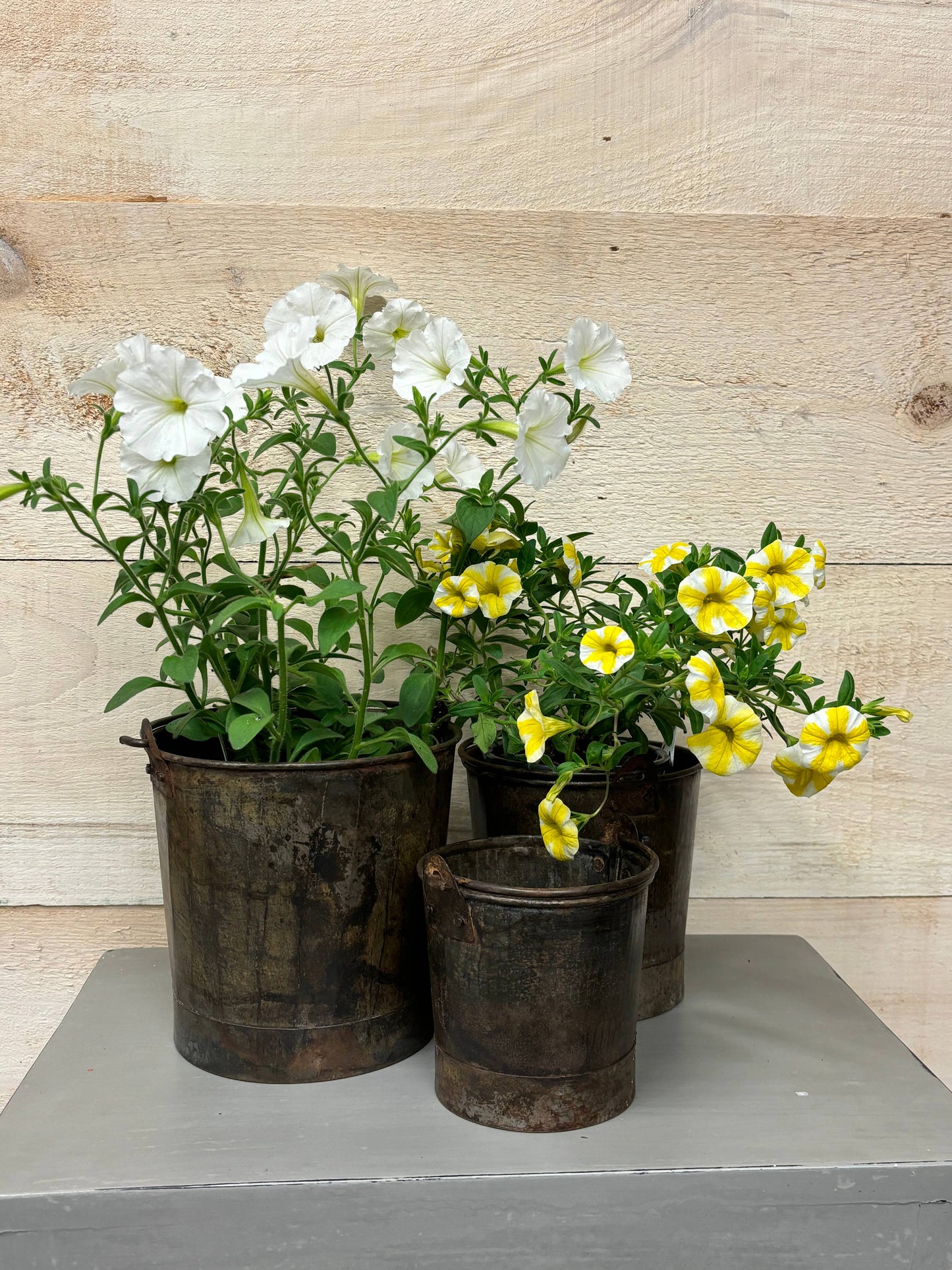 Galvanized Straight Bucket