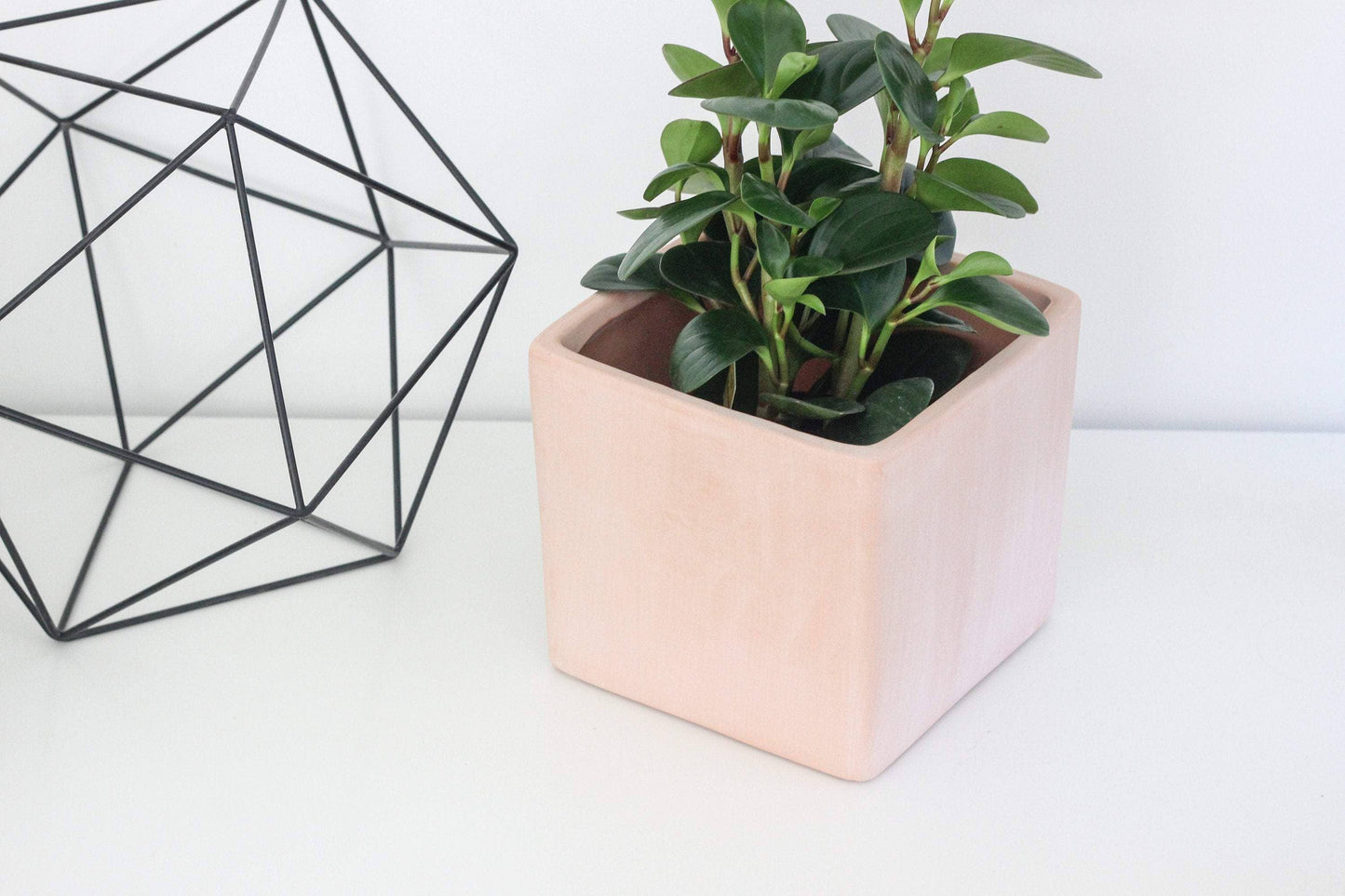 Terracotta Blush Cube Planter 3"
