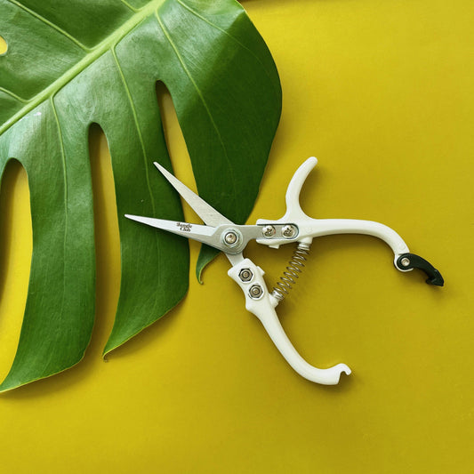 Pruning Shears