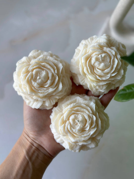 Peony Candles Set of 3