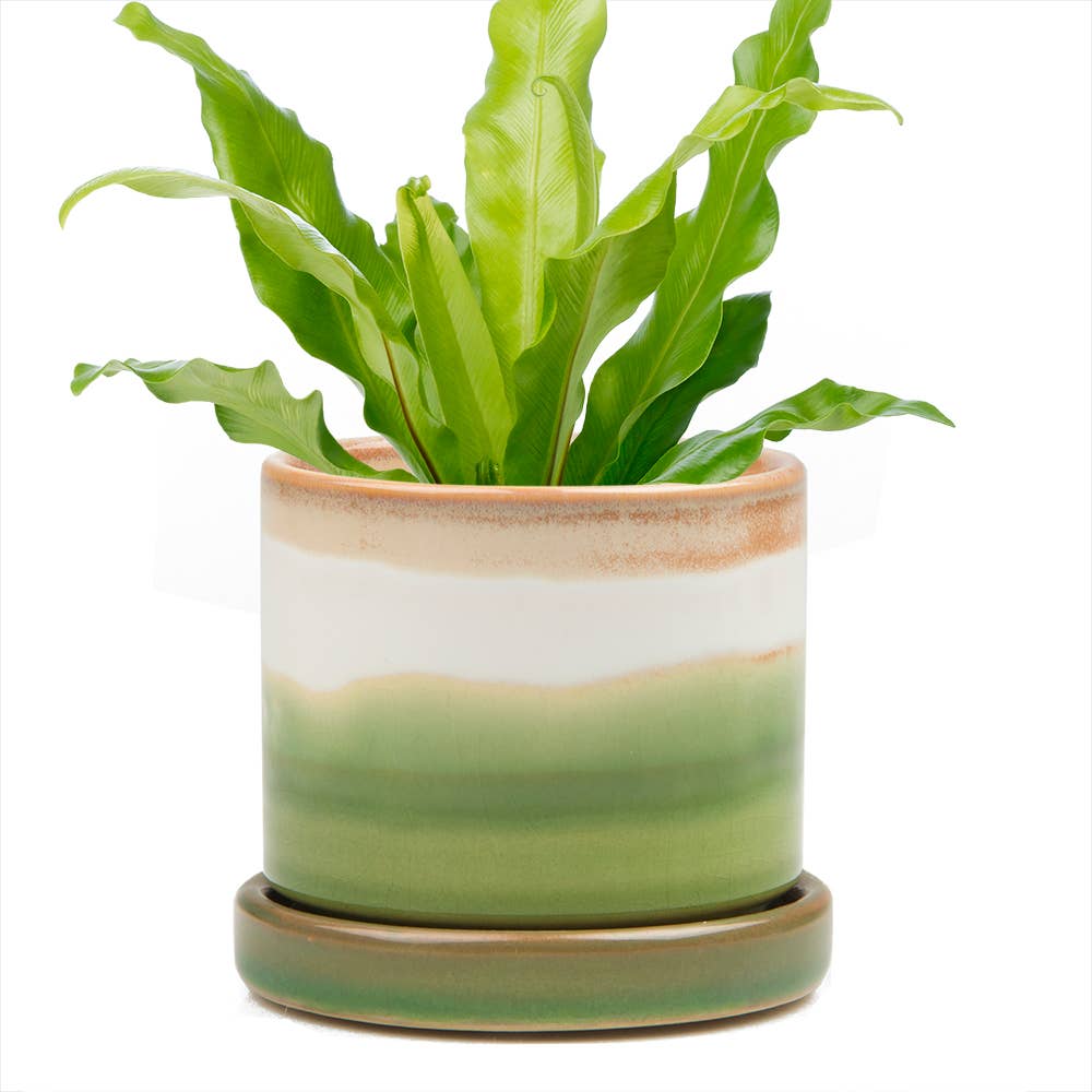 Minute Pot & Saucer