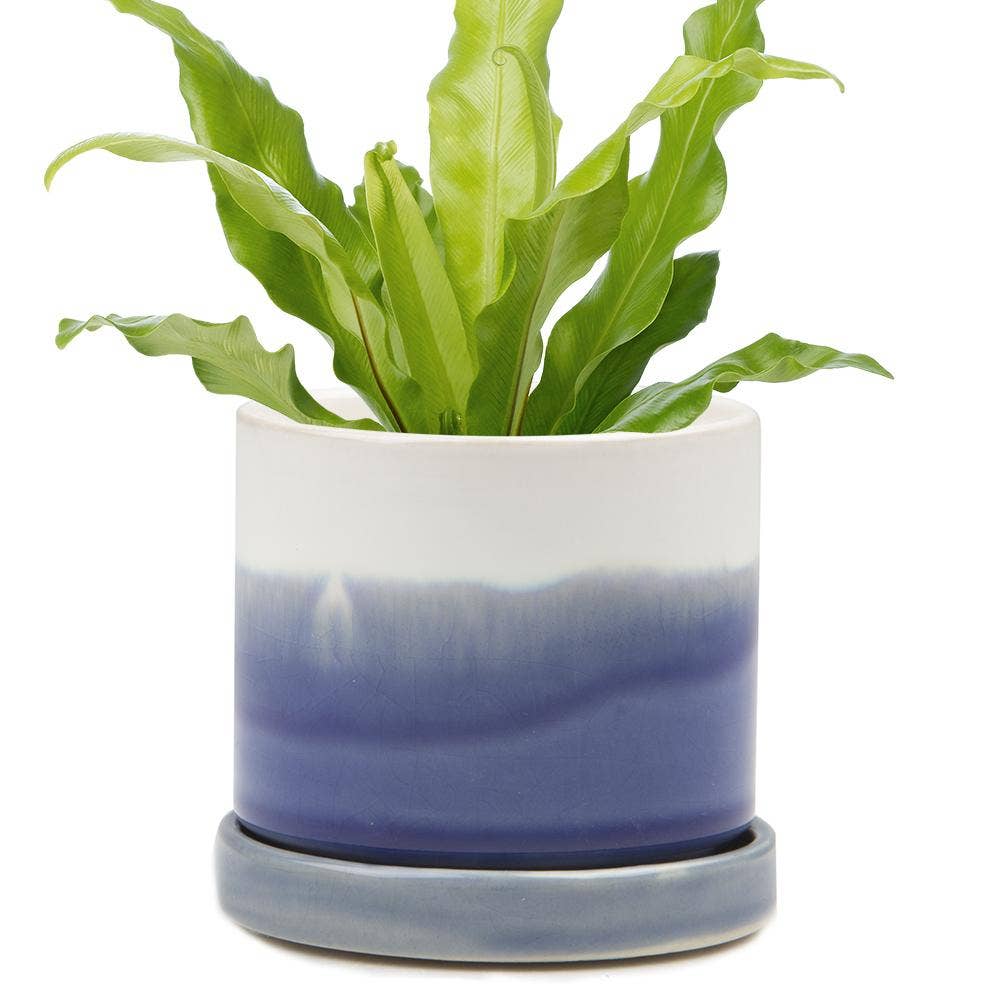 Minute Pot & Saucer