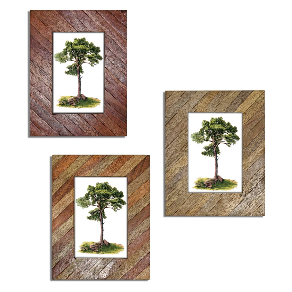 Striped Wood Picture Frame