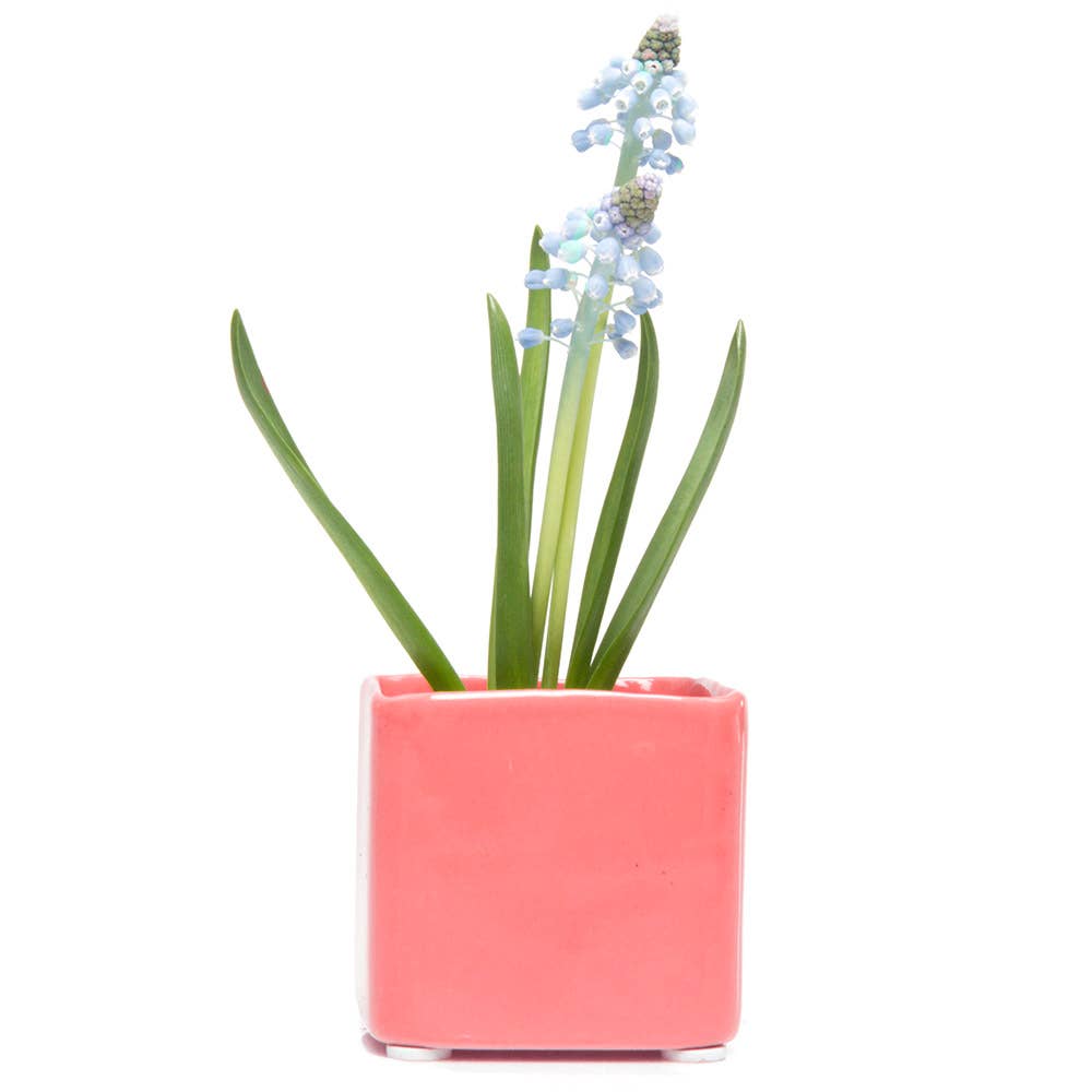 Mini Cube Ceramic Pots
