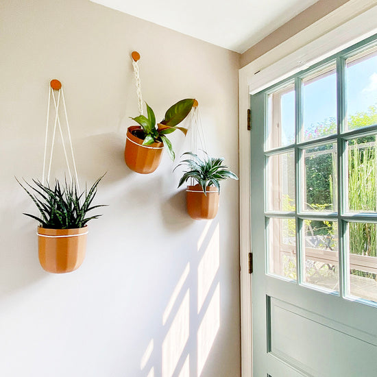 Loop Hanging Planter in Terracotta
