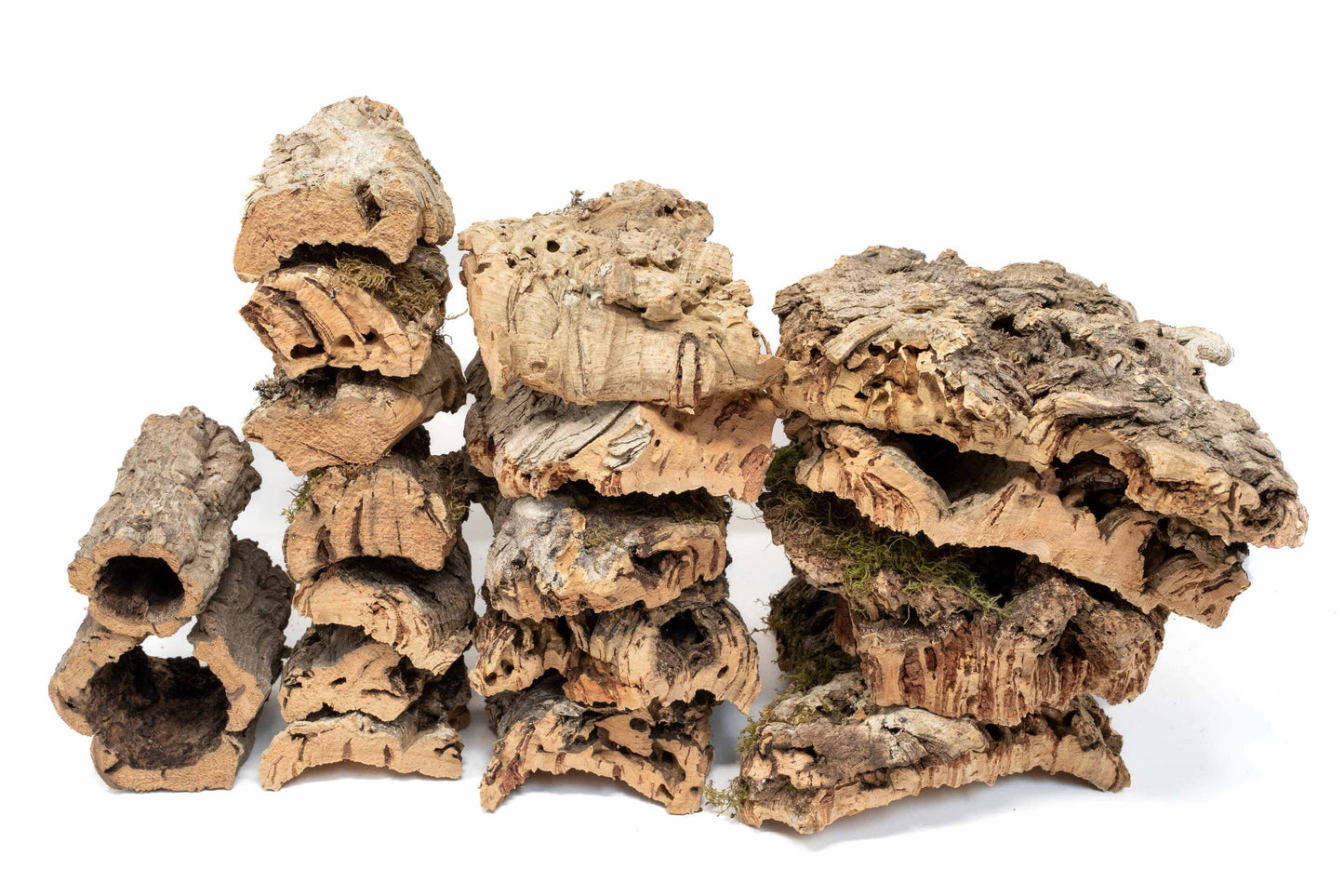 Assorted Cork Bark for Terrariums