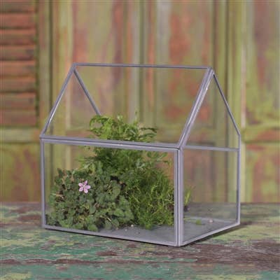 Antique Cottage Glass Terrarium