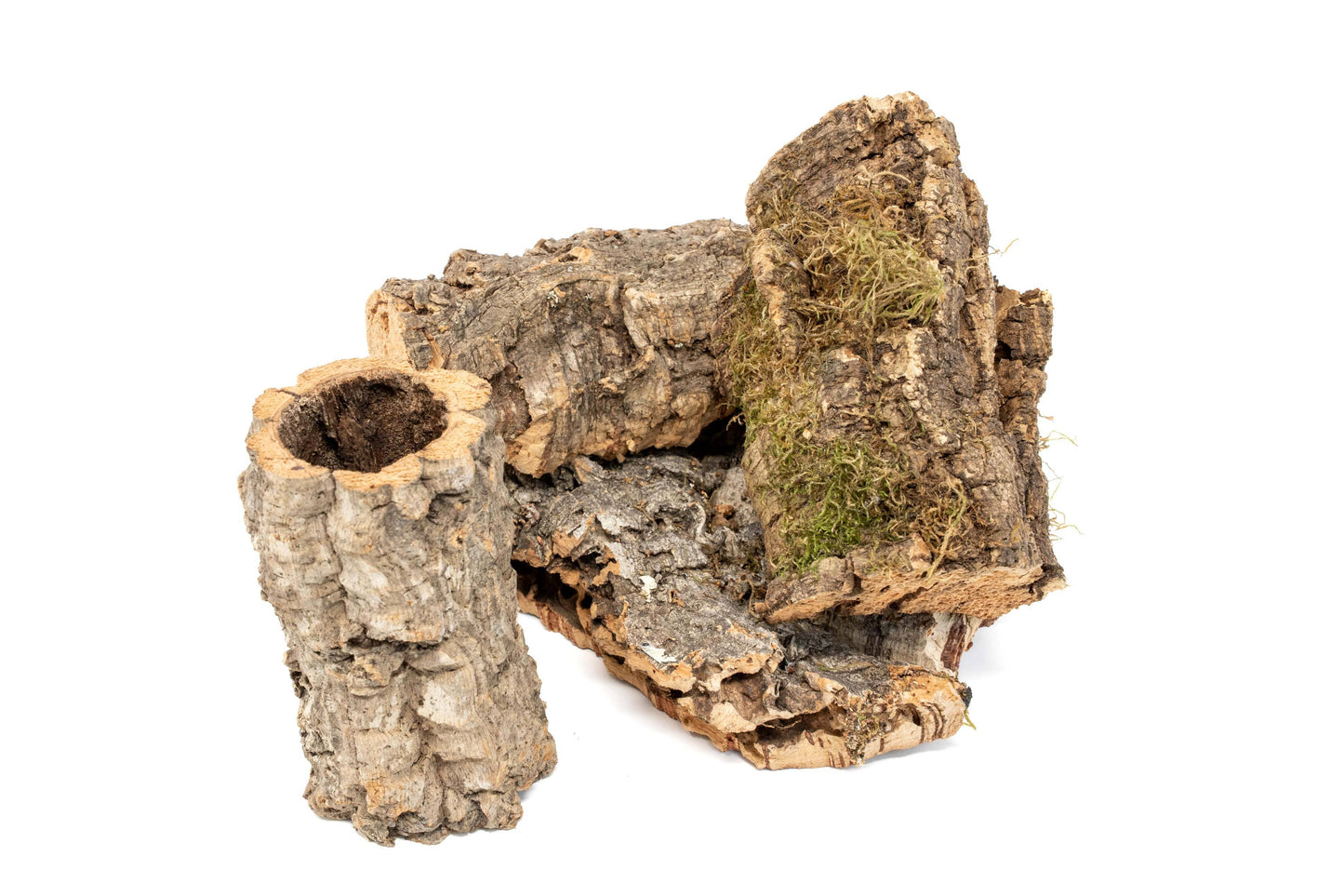 Assorted Cork Bark for Terrariums