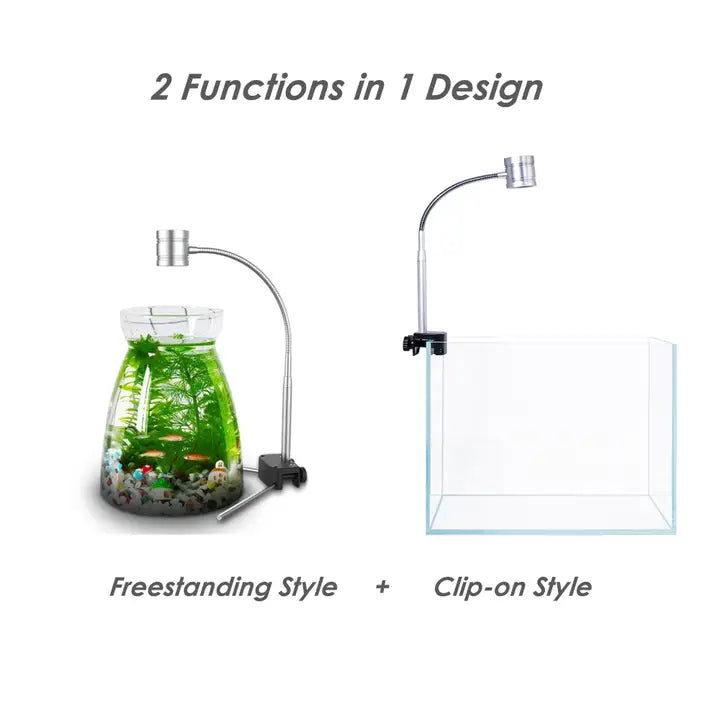 Terrarium Workshop