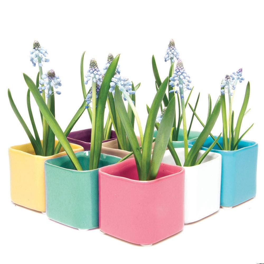 Mini Cube Ceramic Pots