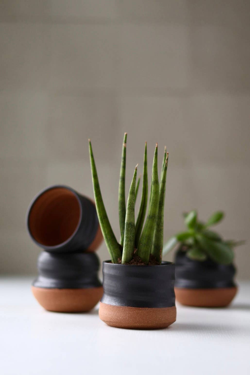 Handmade Pottery Mini Pots