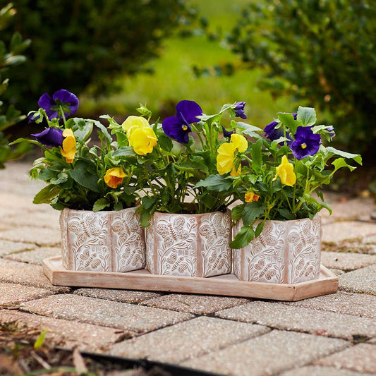 Basanta Meadow Planter Set