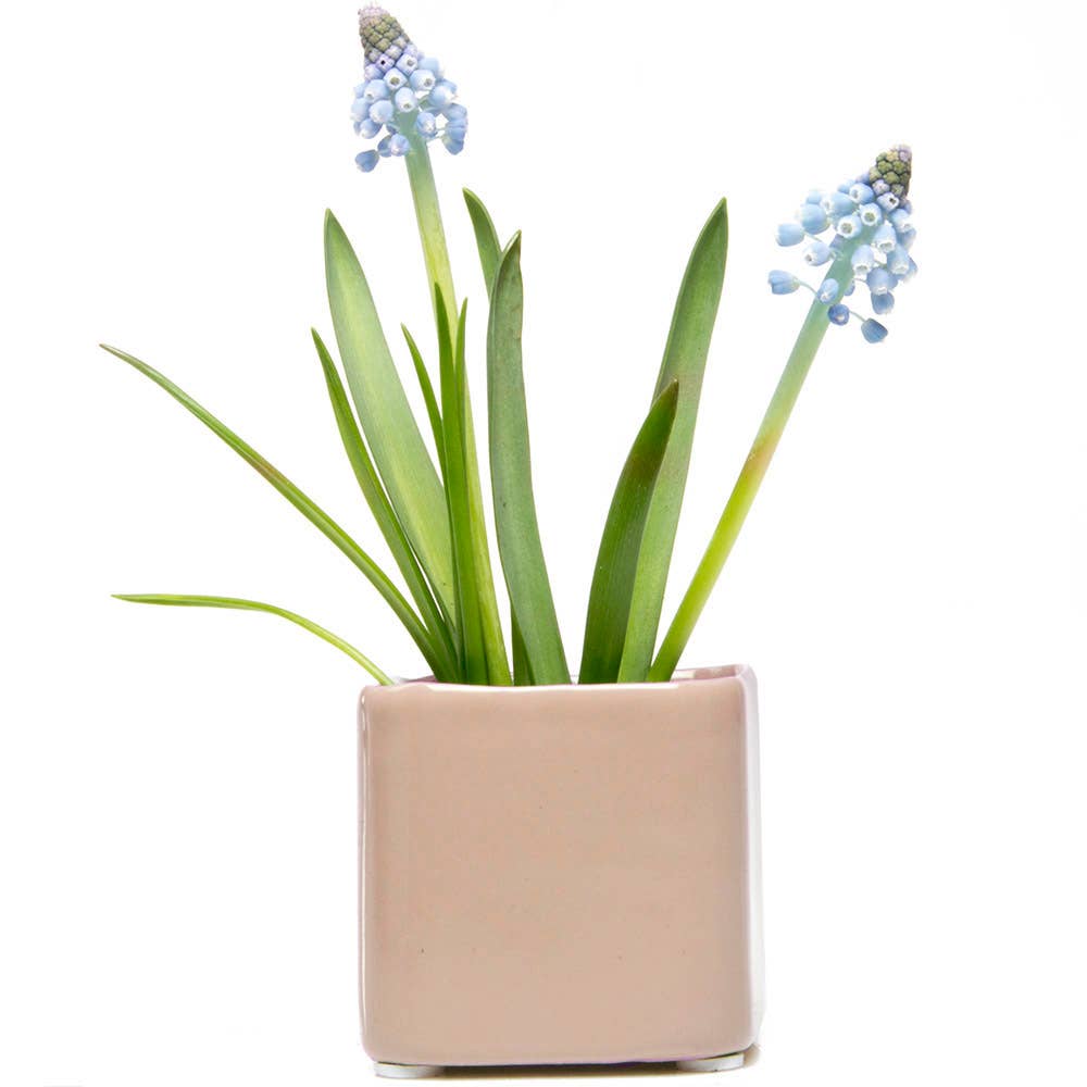 Mini Cube Ceramic Pots