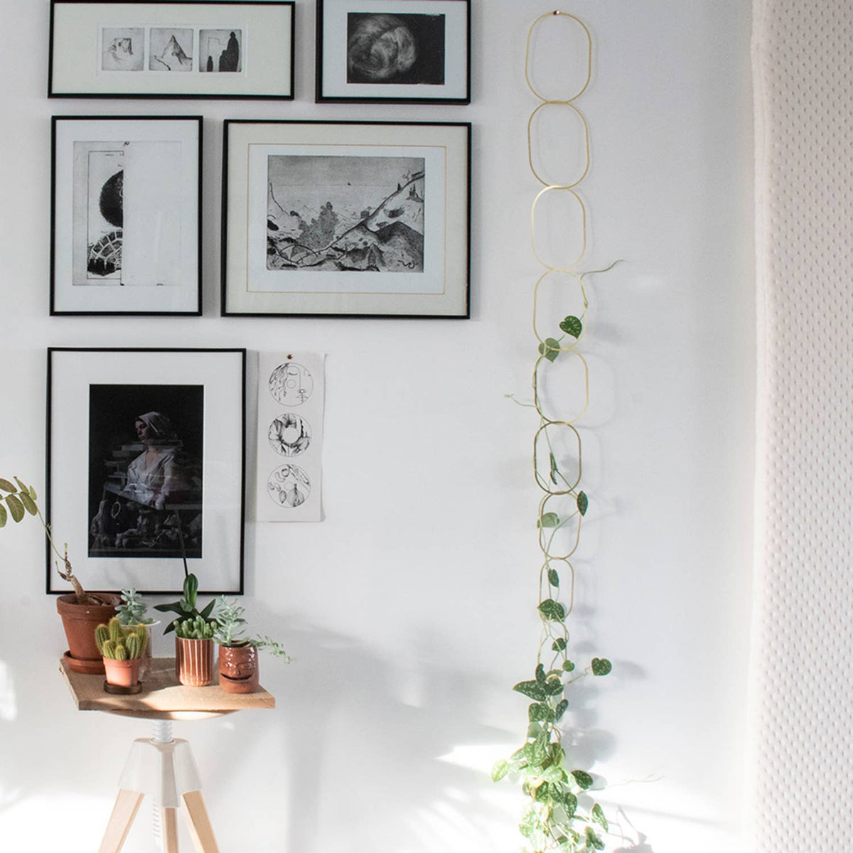Climbing Plant Gold Brass Chain