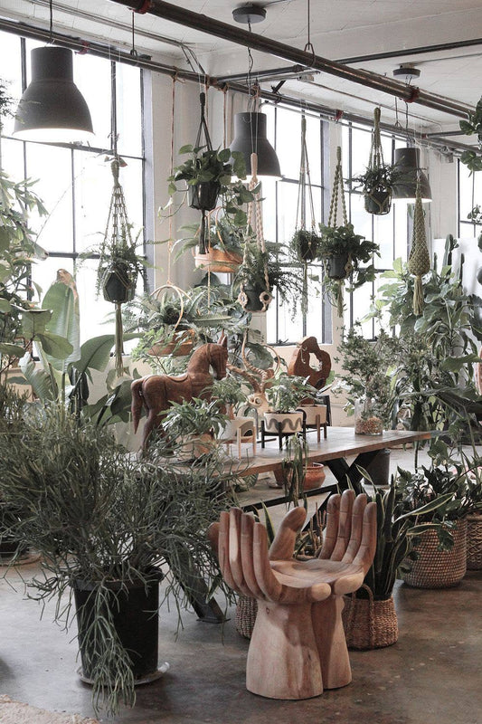 OG Plant Hanger