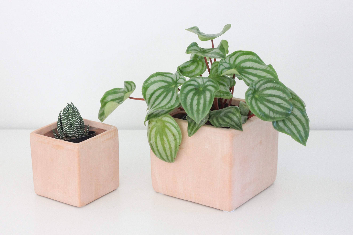 Terracotta Blush Cube Planter 3"