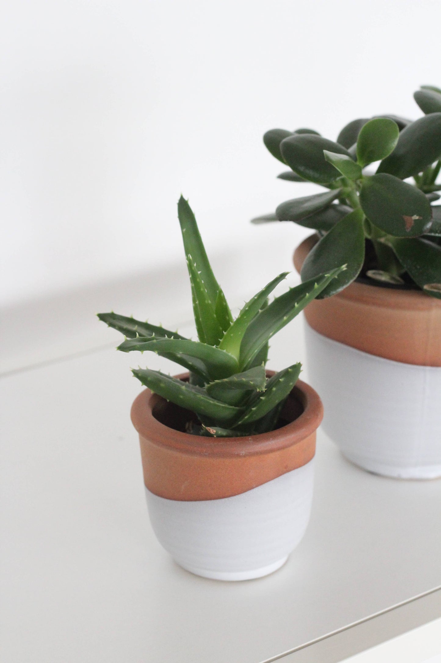 Terracotta Matte White Ceramic Pot