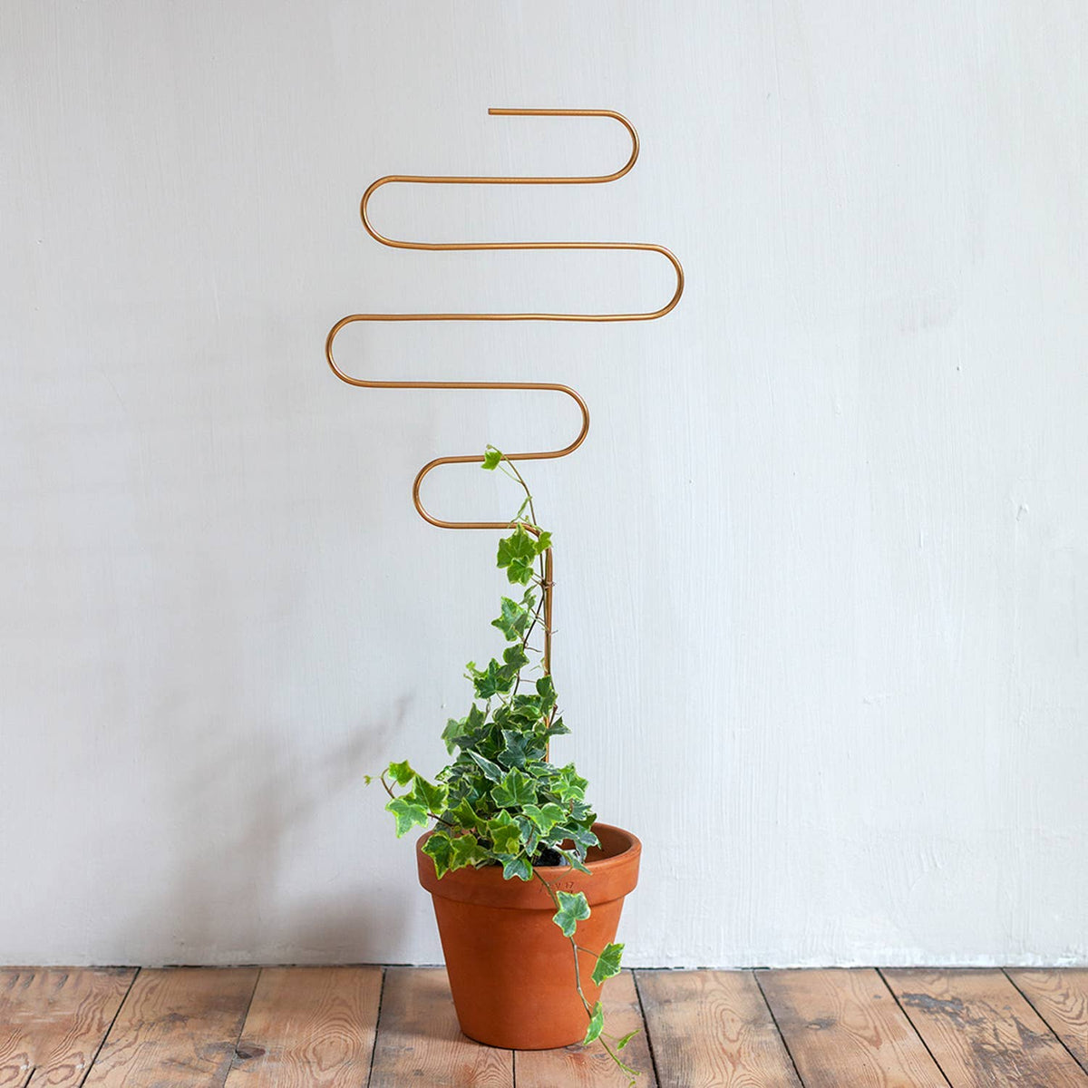 Golden Squiggle Plant Stake