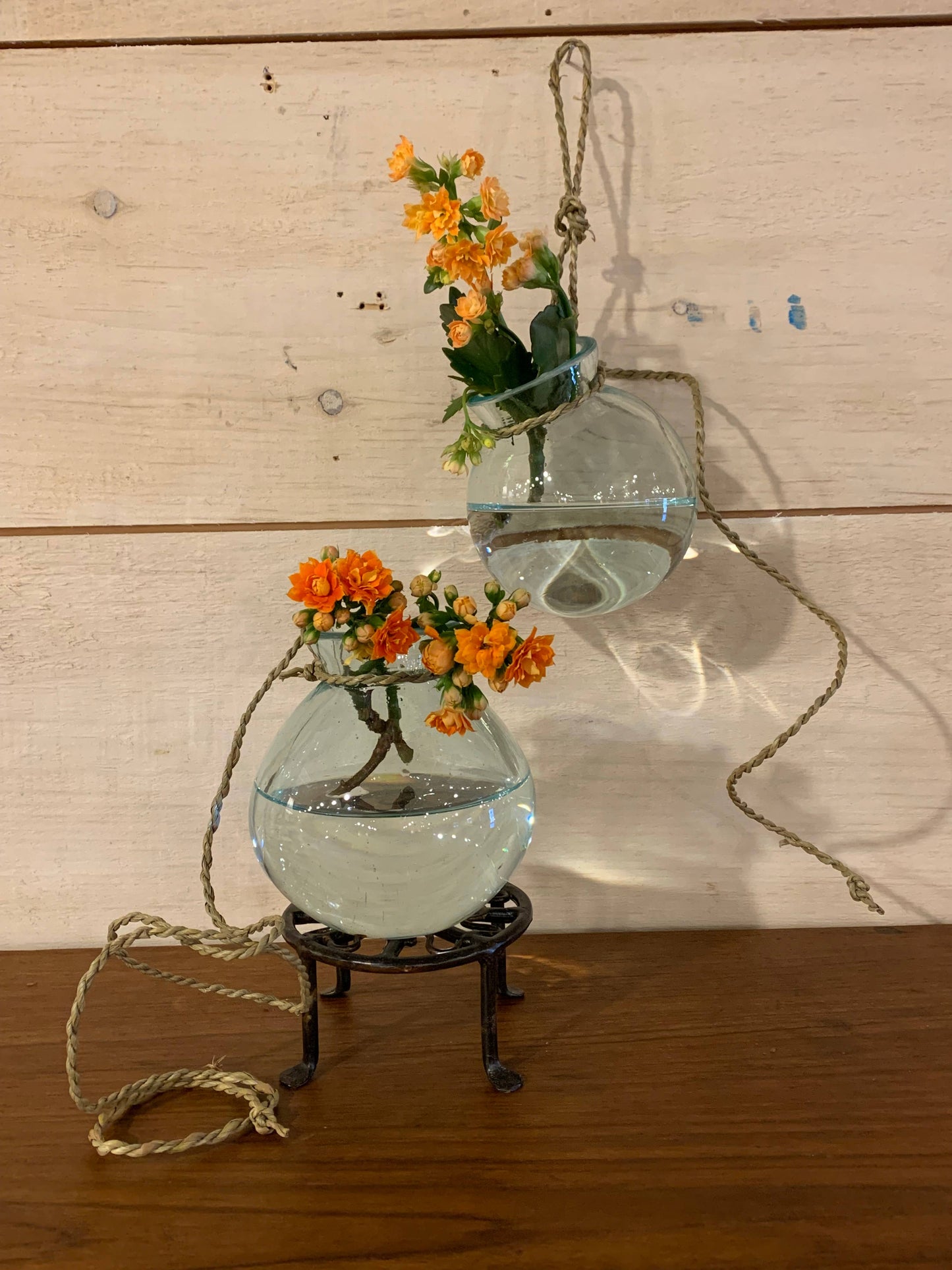 Hanging Glass Planter