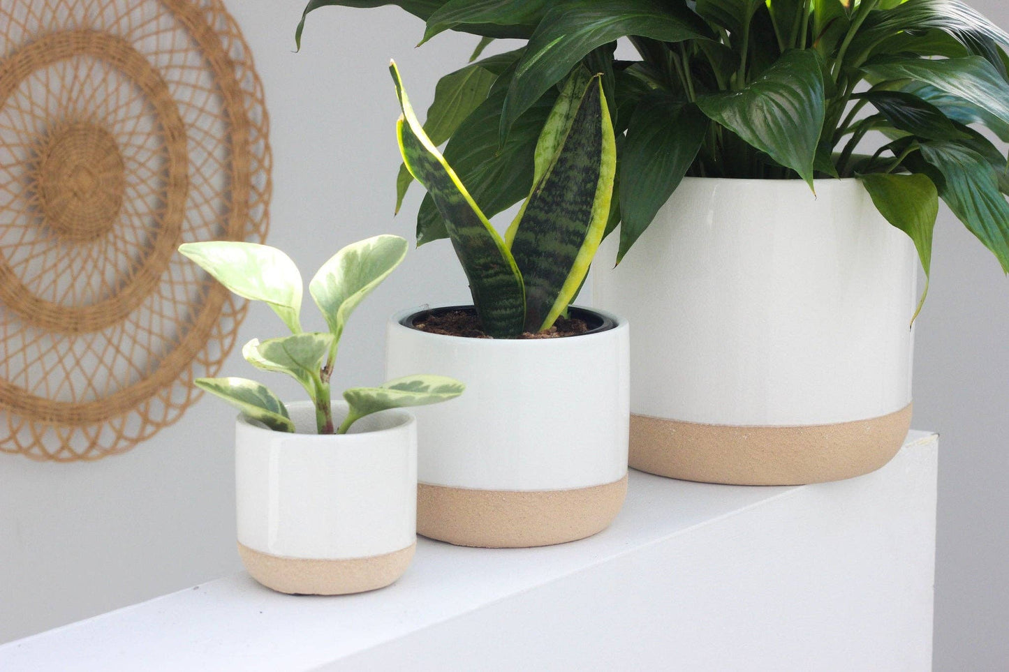 Ceramic Pot White on Beige