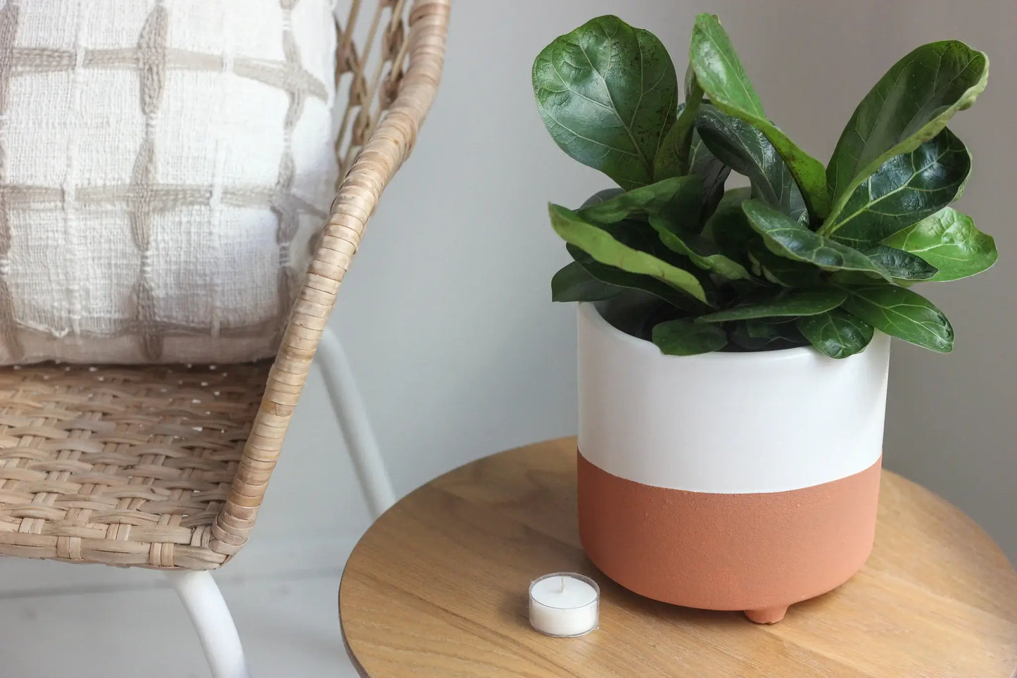 Terracotta and White Boho Footed Pot- 7"