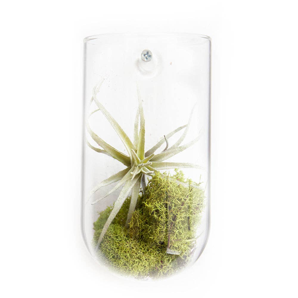 Hanging Glass Planter / Vase