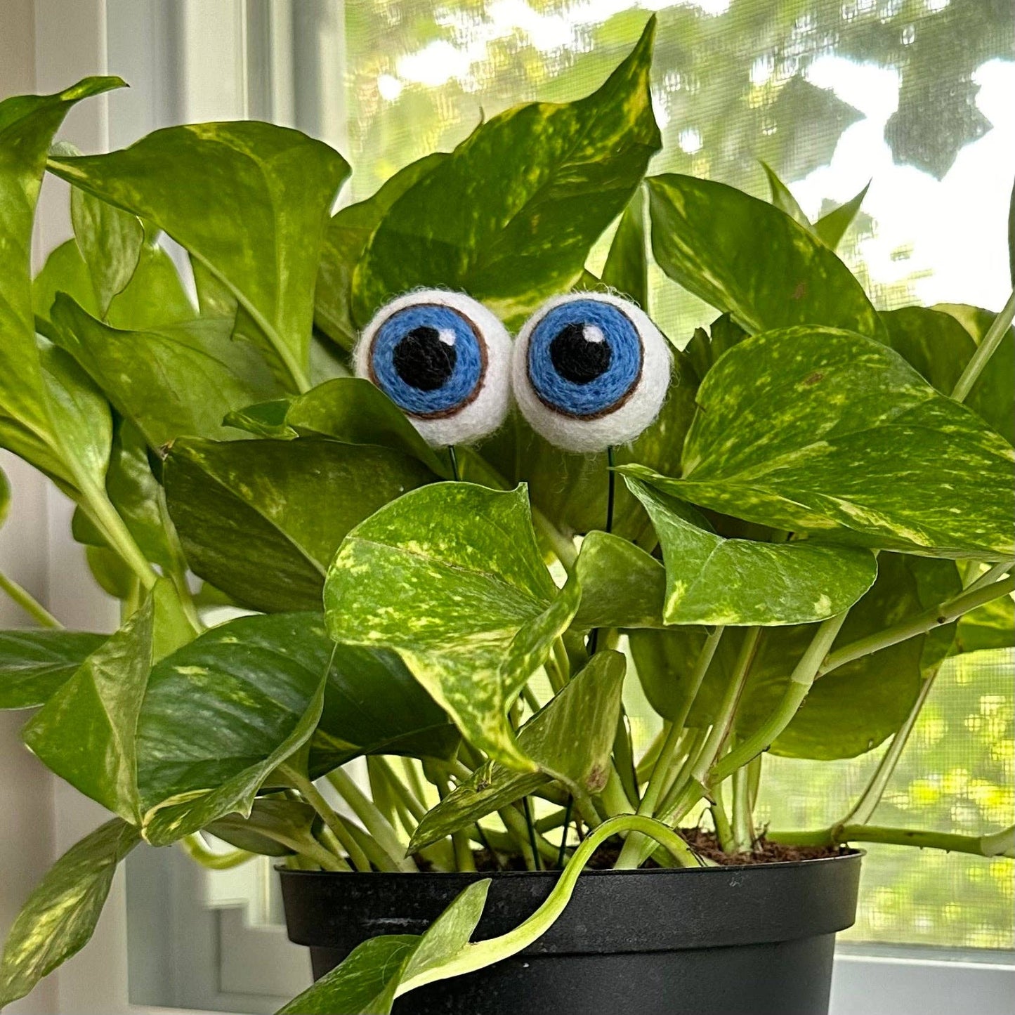 Felt Plant Eyes