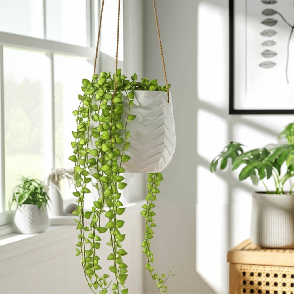 Chevron Hanging Planter