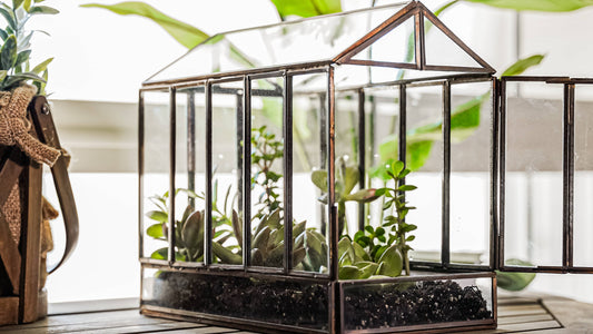 Bronze Greenhouse Terrarium