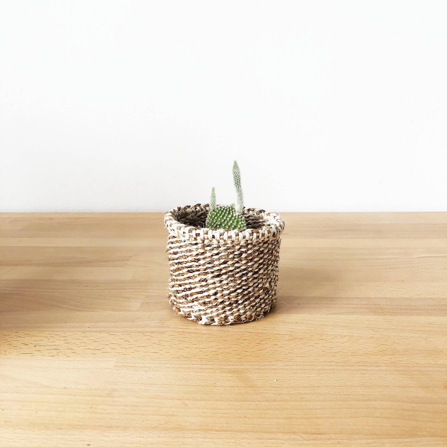 Banana Leaf Storage Plant Basket