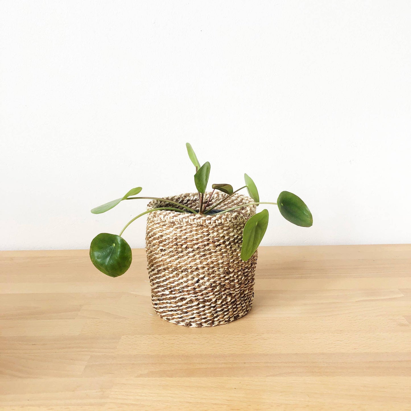 Banana Leaf Storage Plant Basket