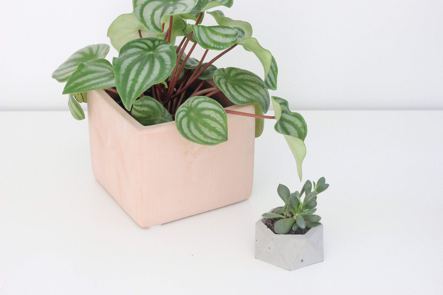 Terracotta Blush Cube Planter 3"