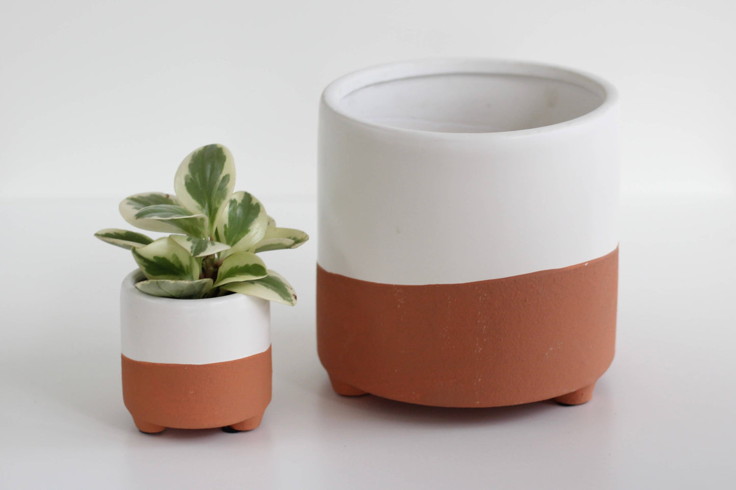 Terracotta and White Boho Footed Pot- 7"