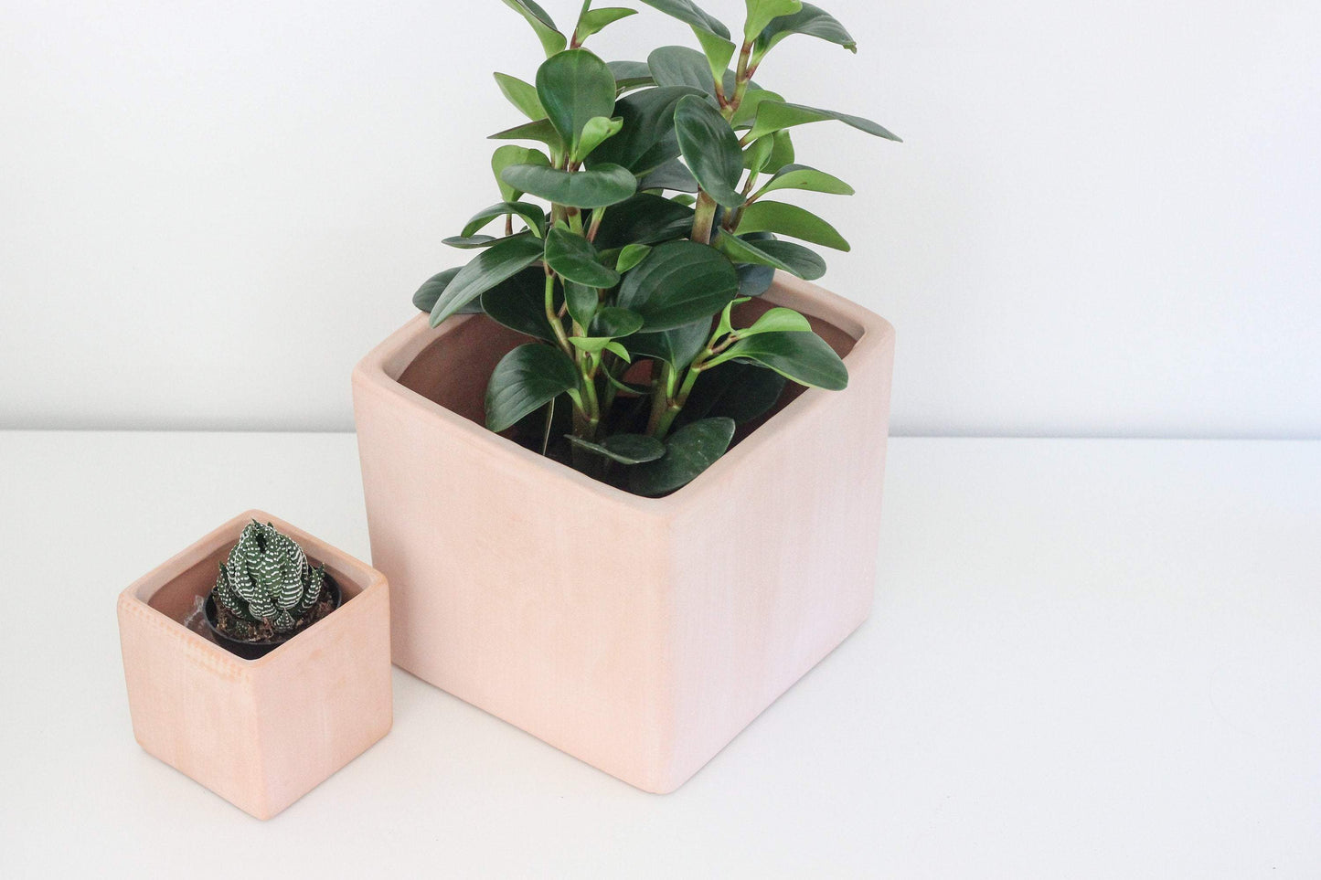 Terracotta Blush Cube Planter 3"
