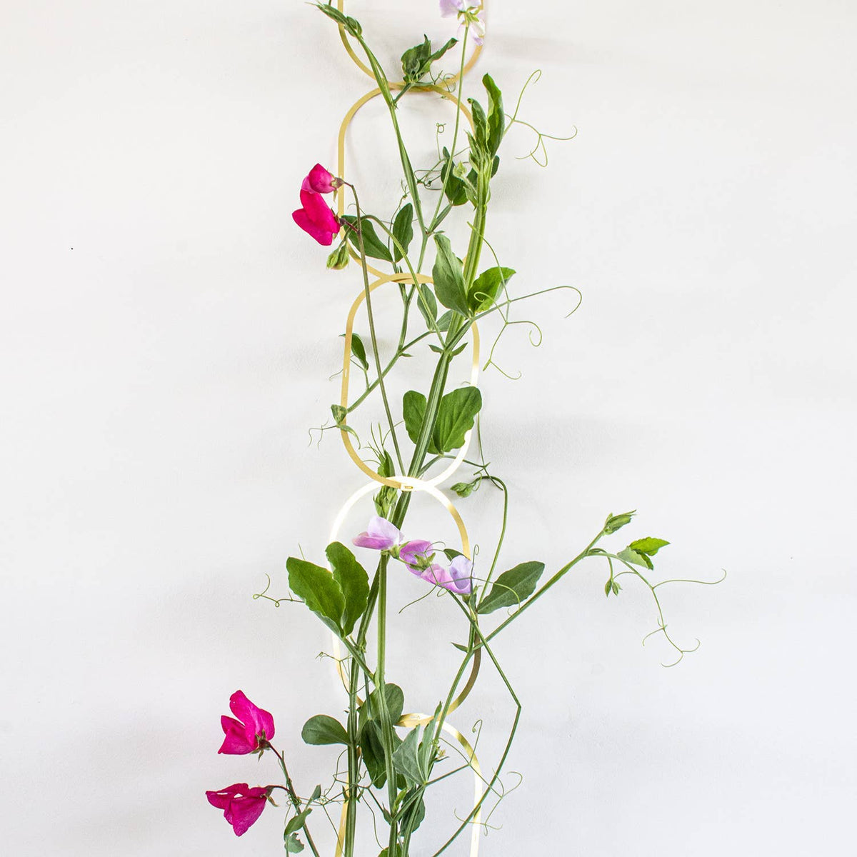 Climbing Plant Gold Brass Chain